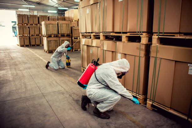 Best Best Pest Control Companies  in Mission Nyon, CA