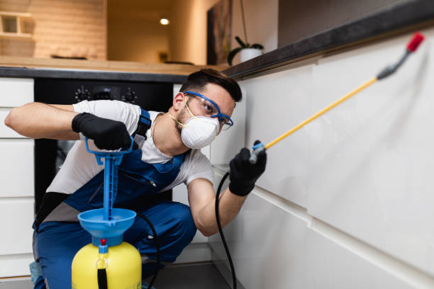 Best Bed Bug Extermination  in Mission Nyon, CA