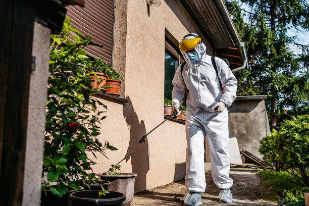 Best Pest Control Near Me in Mission Canyon, CA