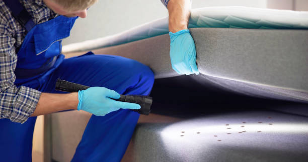 Best Mosquito Control Services  in Mission Nyon, CA