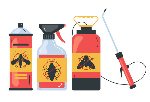 Best Ant Control Services  in Mission Nyon, CA